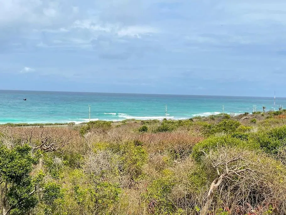 Modern Holiday Apartment On The Island - M5 Isla Mujeres